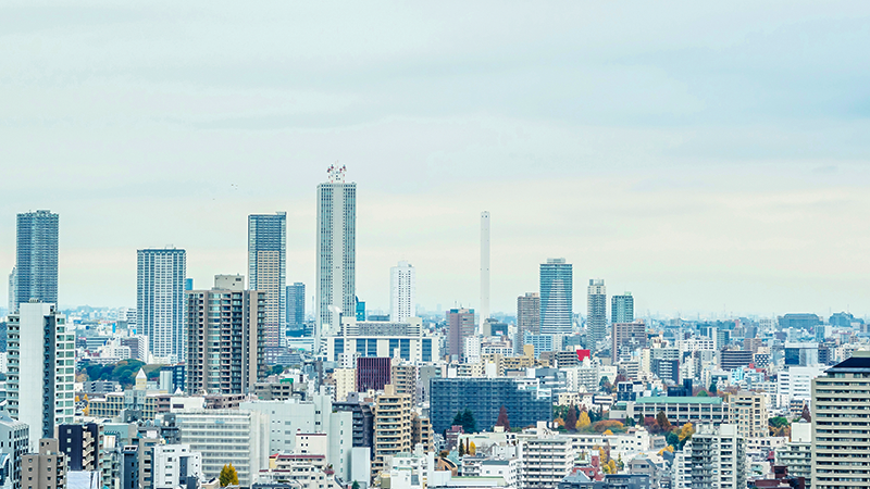 Real Estate transparencia DAAS